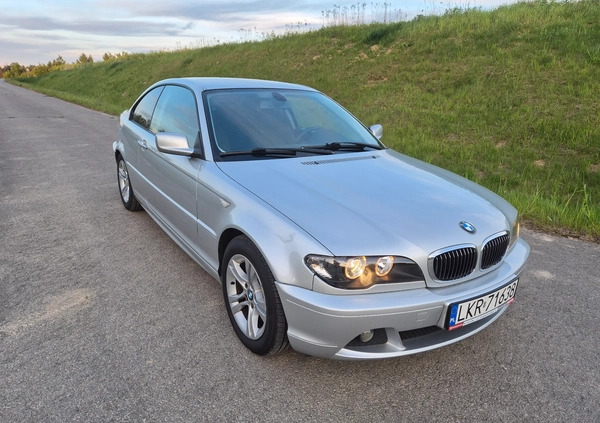 BMW Seria 3 cena 15900 przebieg: 227000, rok produkcji 2003 z Kraśnik małe 121